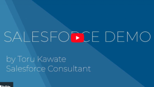 Salesforce_Demo_Video
