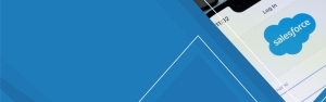 Salesforce Managed Services Banner
