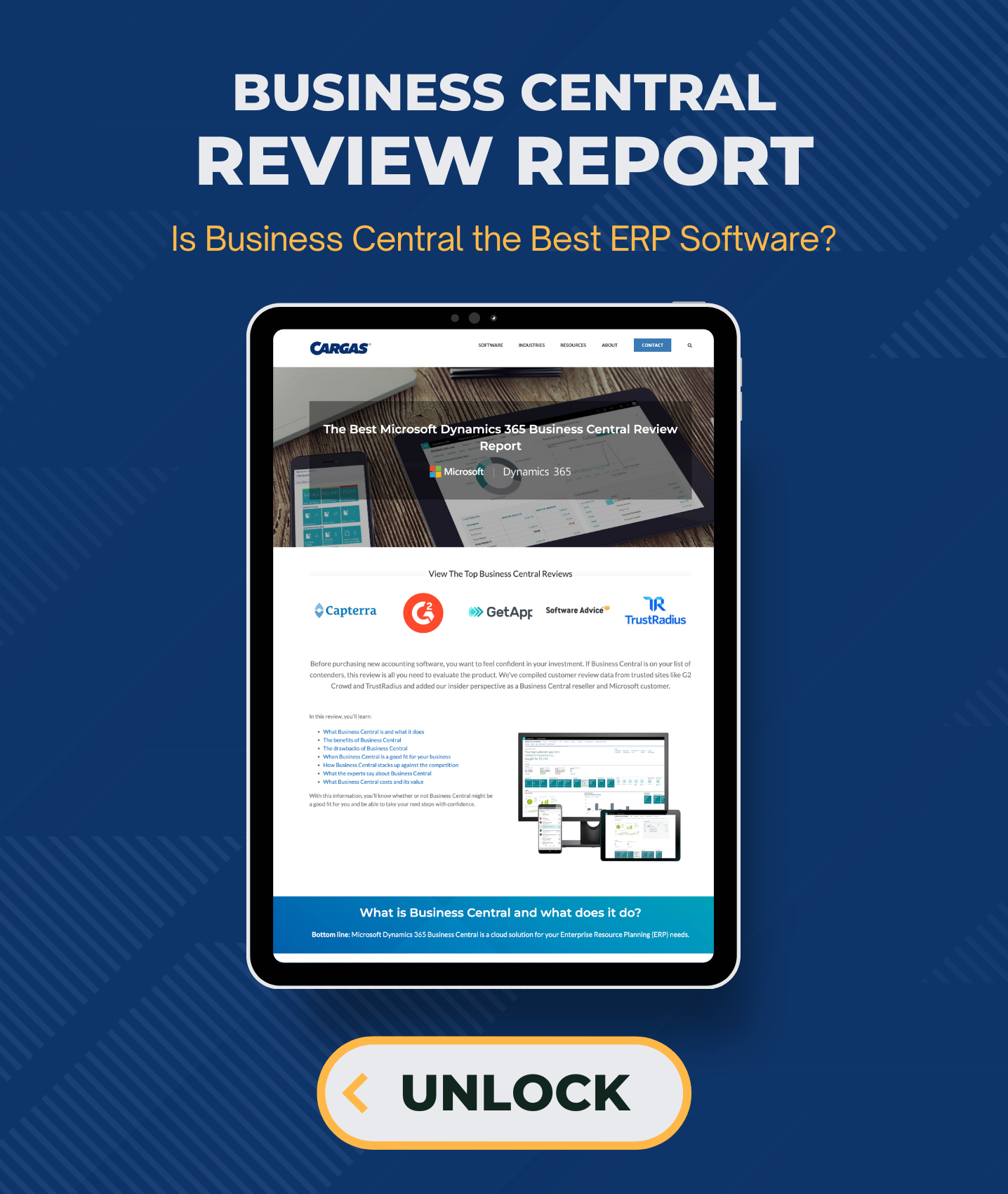 Microsoft Dynamics 365 Business Central Review Report